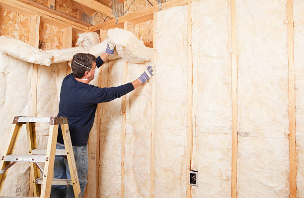 Best Crawl Space Insulation  in Dora, AL